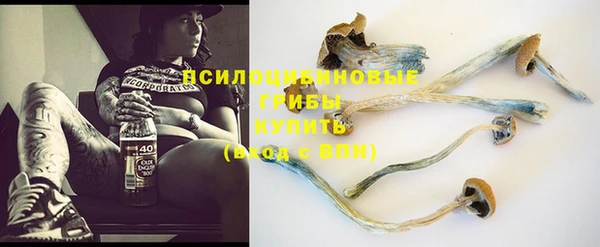кокс Кинешма