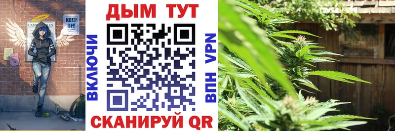 Купить где Камышлов Конопля ГИДРОПОН